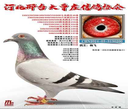 ��Ӣ����52��