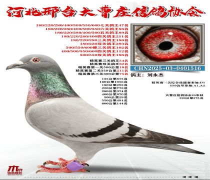 ��Ӣ����54��
