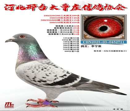 ��Ӣ����62��