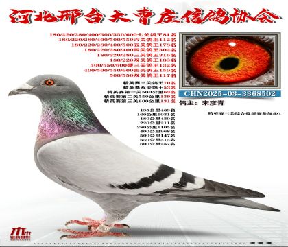 ��Ӣ����70��