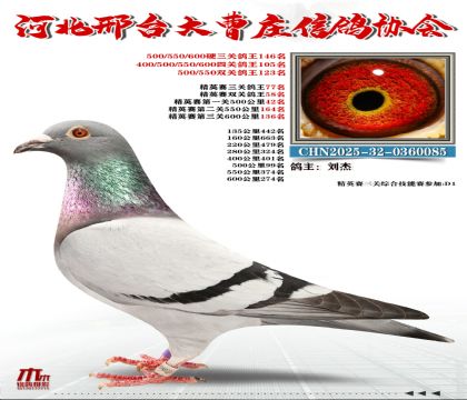 ��Ӣ����77��