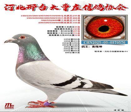 ��Ӣ����83��