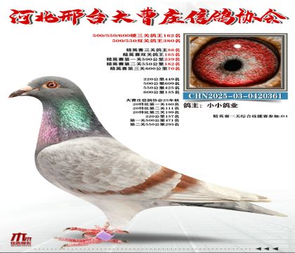 ��Ӣ����86��