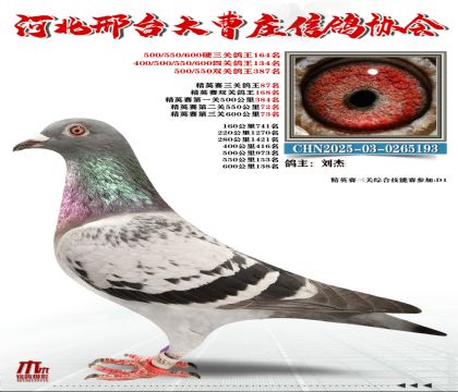 ��Ӣ����87��