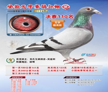 �����������110��
