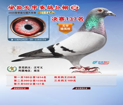 �����������137��
