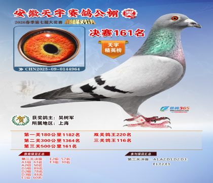 �����������161��