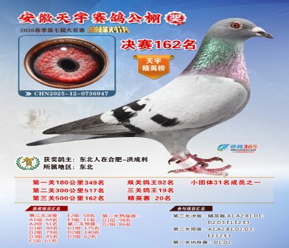 �����������162��