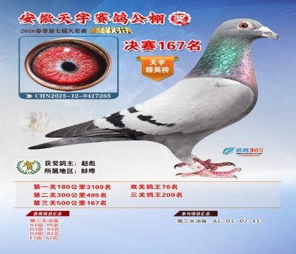 �����������167��