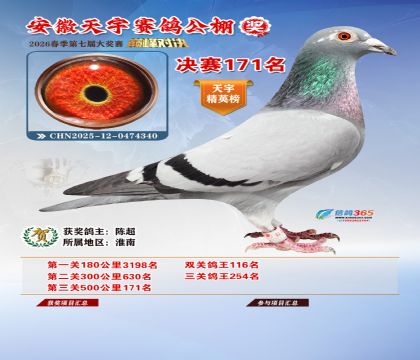 �����������171��