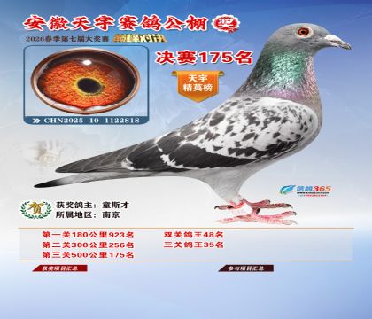 �����������175��