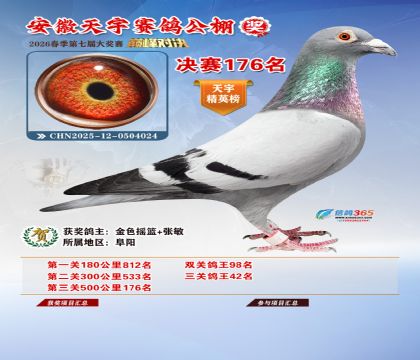 �����������176��