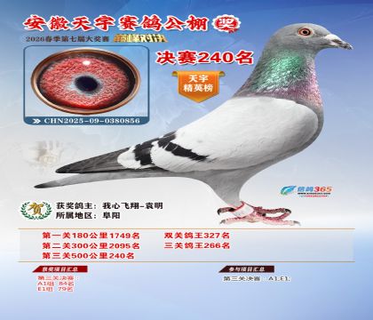�����������240��