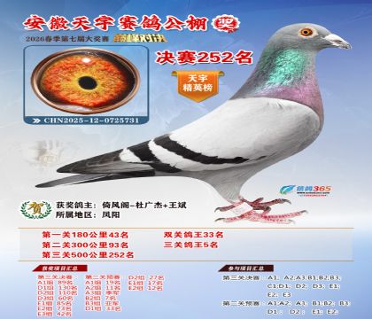 �����������252��