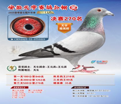 �����������270��