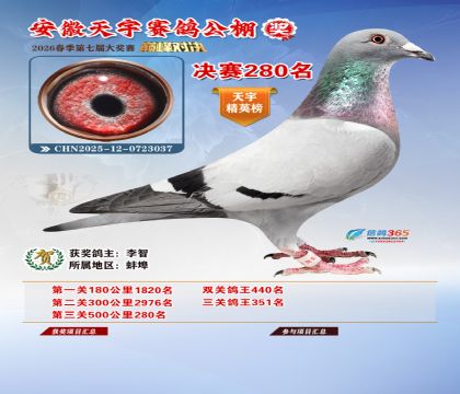 �����������280��