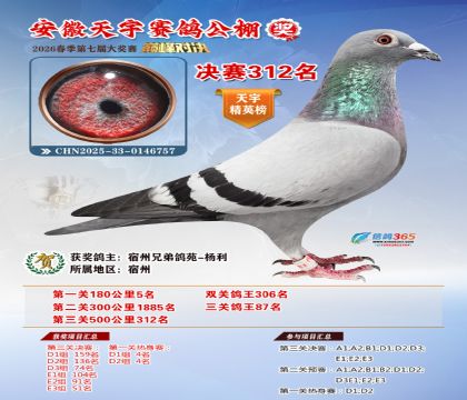 �����������312��