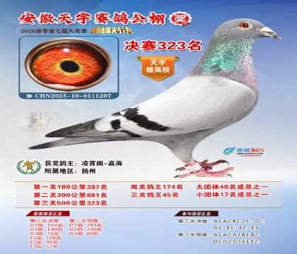 �����������323��