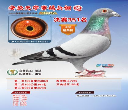 �����������351��