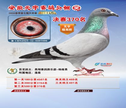�����������370��