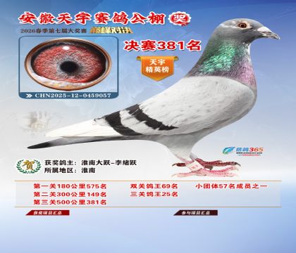 �����������381��