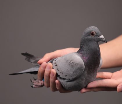 ��³��15�š���ʦ����ֱŮ