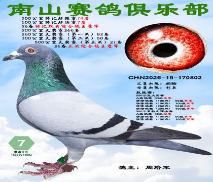 �رȻ�����7�����ر�˫���ۺϸ�������