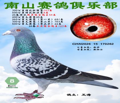 �رȻ�����8��