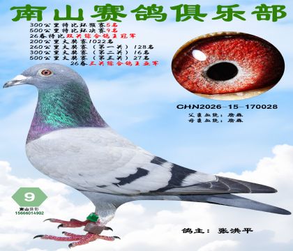 �رȻ�����9�����ر�˫���ۺϸ����ھ�