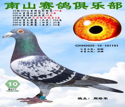 25���رȻ�����10�����رȻ������ۺϸ���8��