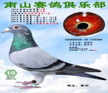 �رȻ�����10��