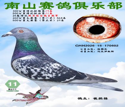 �رȻ�����11�����ر�˫���ۺϸ������