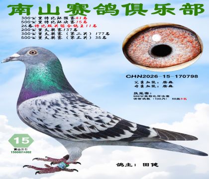 �رȻ�����15�����ر�˫���ۺϸ���11��