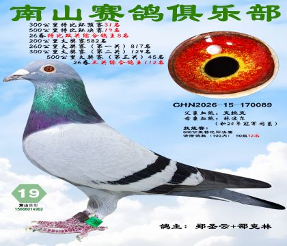 �رȻ�����19�����ر�˫���ۺϸ���8��