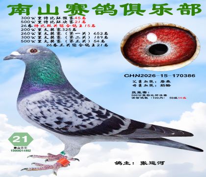 �رȻ�����21�����ر�˫���ۺϸ���15��