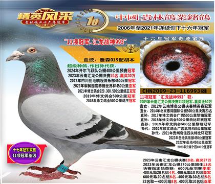 �游��11���ھ�