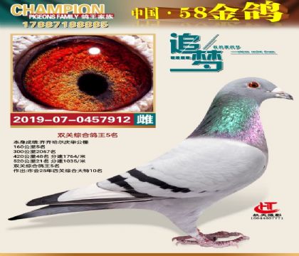 ˫�ظ���