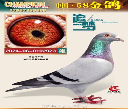 �ش���740�����ϵ