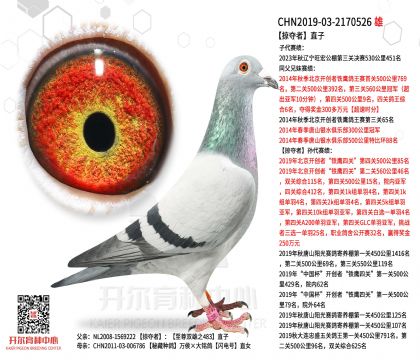 5����-2170526