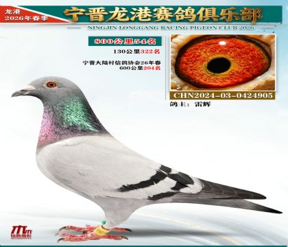 800����54��
