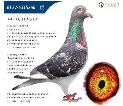�Ͽ˷��ǲ��˻��ض�ֱ����ֱŮ���ر��Ƽ���
