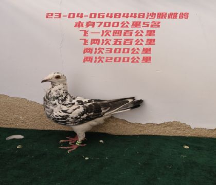 �߰ٹ���5��������������������ɶ���