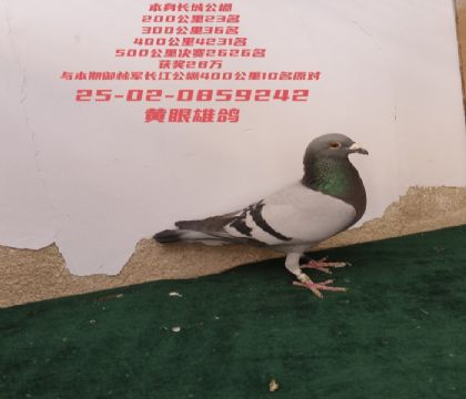 ���ǹ�����ٹ���23���ٹ���36Ӯ28��