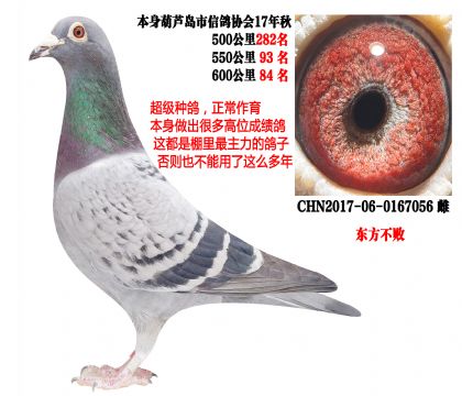 �����ָ룬550����93����600����84�����������ܣ�