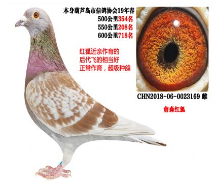 ղɭ��������������ɼ��루�ѷ���5����