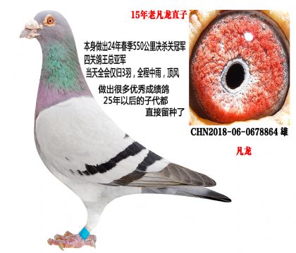 �������Ӵ�24�괺��550���ﲮ���ھ�