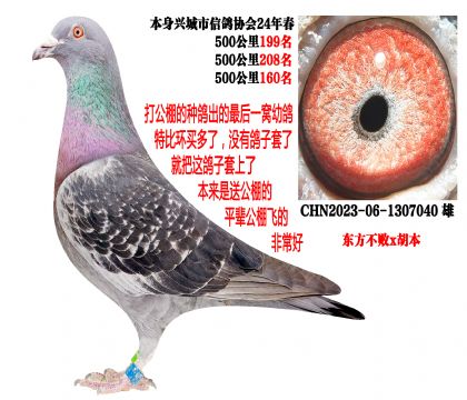 24�괺�����500����ɼ��루��������x�����������������