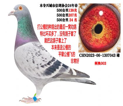 24�괺�����500����ɼ��루����003�������������