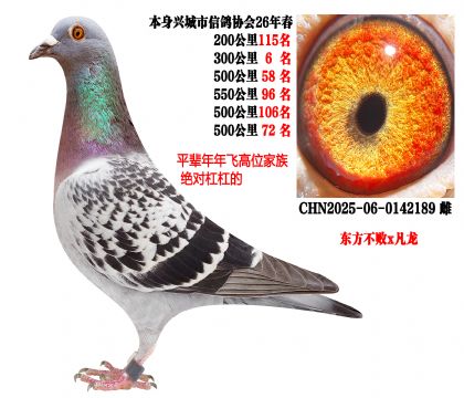 26�괺���Ĺ�500����ɼ��룬�������루��������x������