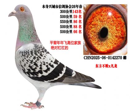 26�괺���Ĺ�500����ɼ��룬�������루��������x������